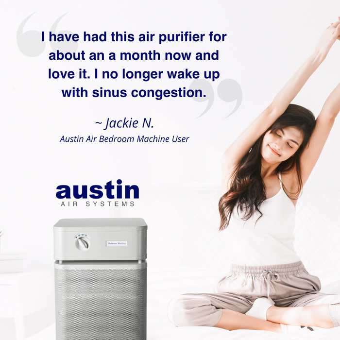 Austin Air The Bedroom Machine Air Purifier